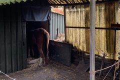 8C7BA92B-BAEE-4CBB-9A40-AB524EDCD20D