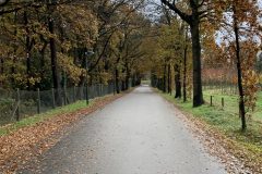 DE0C42C2-5613-44BF-A290-A36FDB2F7F0D