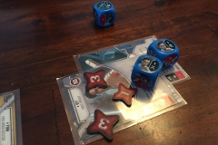 Photo-2017-01-15-12-29-20_9950