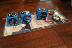 Photo-2017-01-15-12-30-40_9954