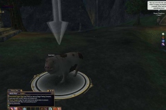 EQ2_000058