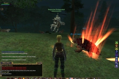 everquest_2_3_20091223_1301201495