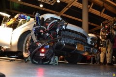 dsc_0013-07496a082430e24b63b0bfed37920e78acd9e9b4