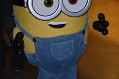 dsc_0053-84fe70f5c867ee2ea6d8423150c2dab6951e2385