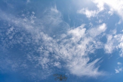 STA-Sloepen-30-Juni-2019-2503