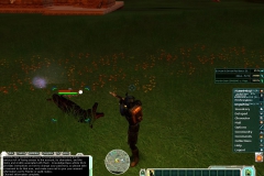 galaxies_20091228_2079247464