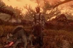 repop14-6abedb46109013a1accfec7742212b4919ff179b