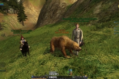 The Lord of the Rings