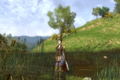 lord_of_the_rings_2_20091223_1864992277