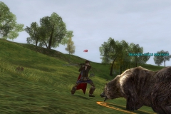 lord_of_the_rings_3_20091223_1179605508